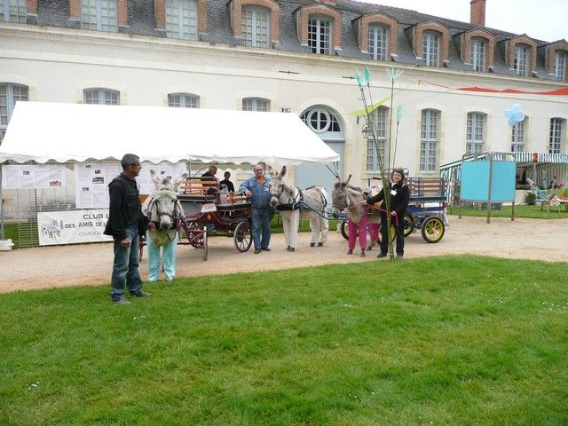 rodho 2013 (17).jpg